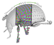 TriFlow: Generating Artist-Like 3D Mesh Topology via Nearest-Vertex Vector Fields